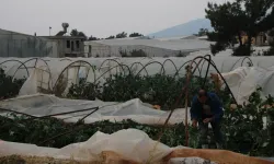 Mersin Bozyazı’da Fırtına ve Hortum Seraları Yıktı