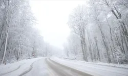 Uzman Uyardı: Kara Kış Kapıda Sert Geçecek