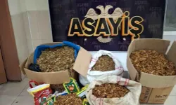 Samandağ’da Araçta Kaçak Tütün Ele Geçirildi