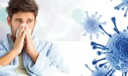 Uzmanlar H3N2 Grip Mutasyonu İçin Küresel Uyarıyor