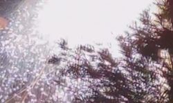 Hatay’da Elektrik Kabloları Patladı: Mahallede Panik Yaşandı