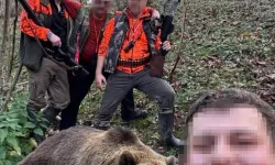 Trabzon’da Ayı Alarmı: Sürek Avı Başladı, İlk Ayı Vuruldu