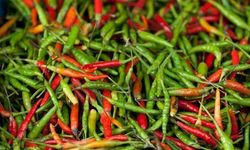Uzmandan Uyarı: Acı Biber Fazlası Stresi Artırıyor