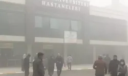 Mutasyona Uğrayan İnfluenza Diyarbakır’da Alarm Verdi