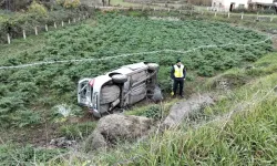 Bafra’da Otomobil Tarlaya Uçtu: Sürücü Kurtuldu