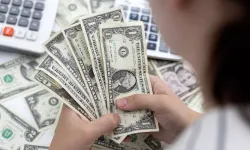 Döviz Mevduatları Dört Yıl Sonra Yeniden Artışa Geçti