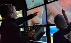 Yedi Kollu Ahtapot 40 Yıl Sonra Yeniden Görüldü