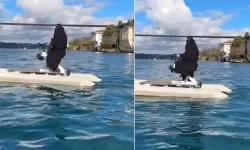 Boğaz’da Su Bisikleti Süren Kadının Paylaşımı Gündem Oldu