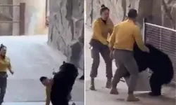 Safari Parkında Ayının 46 Saniyelik Saldırısı Panik Yarattı