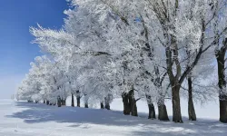 Zemheri Soğukları Geliyor: Sıcaklıklar Sert Düşecek