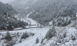 Zigana Dağı’nda Kar Yağışıyla Kış Manzarası Oluştu