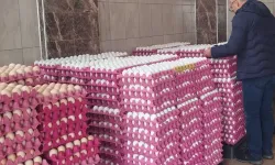 Trabzon’da Yumurta İşletmelerine Sıkı Denetim