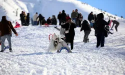 Zigana’da Horonlu Halaylı Kar Sevinci