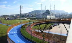 Trabzon’da Ekolojik Köprü Hizmete Açıldı