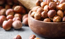 Trabzon’da Fındık Fiyatlarında Düşüş Sürüyor