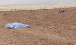 Genç Üsteğmen Nusaybin’de Motosiklet Kazasında Öldü