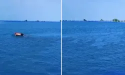 Köyde Tarlaya Yapılan Dev Havuz Sosyal Medyayı Salladı