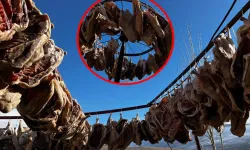 Siparişlere Yetişemiyorlar Kars’ta Gurbetçilere Hazırlandı