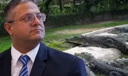 İsrail'den Filistinli Esirler İçin Timsahlı Cezaevi Önerisi