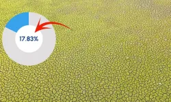 İstanbul Barajlarında Alarm: Doluluk %17,83’e Geriledi