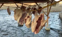 Bölge halkının yüzünü güldüren dönem geldi