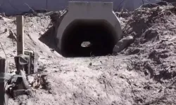 Kurbağalar İçin Yapılan Aşk Tünelinde Çalışmalar Bitti