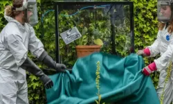 Dokunmak Yetiyor, Acısı Aylarca Sürüyor