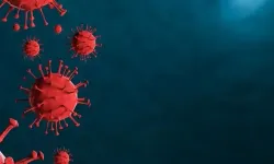 Çocuklar Arasında Hızla Yayılıyor