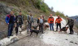 Samsun’da Domuz Alarmı: ‘Takoz’ Kaldırılsın