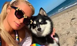 Ünlüler Arasında Evcil Hayvan Klonlama Trendi Büyüyor