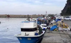 Zonguldak’ta Balıkçılık Alarm Veriyor: Sezon Zayıf Geçti