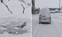 Ordu Çambaşı Yaylası’nda Kar Kalınlığı 2 Metreye Ulaştı