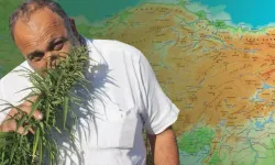 Resmi Gazete’de yayımlandı: 21 ilde kenevir üretimi