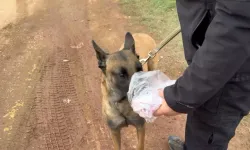 Erdek’te Kayıp Elif Kumal İçin Seferberlik