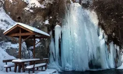 Bayburt'taki Sırakayalar Şelalesi Buz Tuttu