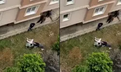 Ümraniye’de 4. Kattan Atlayan Gençlerden Haber Var