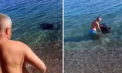 Konyaaltı Sahilinde Balık Tutanları Şoke Eden Olay