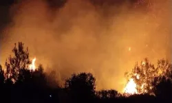 Serik’te Orman Yangınına Karadan Müdahale Başladı