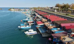 Akçaabat’a Balıkçı Barınağı İçin 55 Milyon TL Ödenek