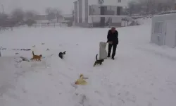 Adıyaman’daki Köyde Kışın Sadece Muhtar Yaşıyor