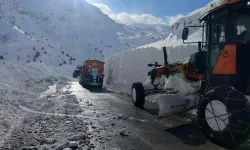 Van–Bahçesaray Yolunda Çığ Temizliği Sırasında Kaza