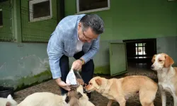 Trabzon Büyükşehir’den Tarım ve Hayvancılığa Destek