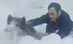 Eliyle Domuz Yakalayan Vatandaşın Cezası İptal Edildi