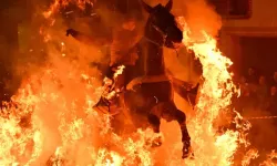 Film Sahnesi Değil Gerçek: Atlar Alevlerin Arasından Geçti