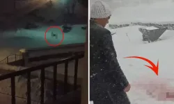 Sivas Altınyayla’da Kurtlar Köye İndi