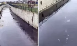 Kapaklı'da Karaağaç Deresi Kimyasal Atıklarla Siyah Aktı