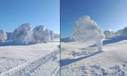 Mudurnu Susuz Yaylası’nda Ağaçlar Buz Tuttu