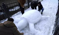 Gümüşhane’de Kardan Kaplumbağa İlgi Odağı Oldu