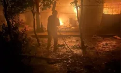 Reyhanlı’da Ev Yangını: Kedi Alevlerden Kurtarıldı