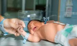 Türkiye’de 2025 Yılında 889 Bin 598 Bebek Dünyaya Geldi